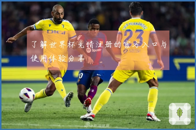 了解世界杯竞猜注册的官方入口与使用体验分享