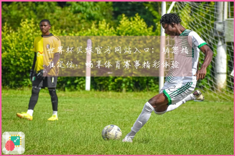 世界杯买球官方网站入口：助您精准定位，畅享体育赛事精彩体验