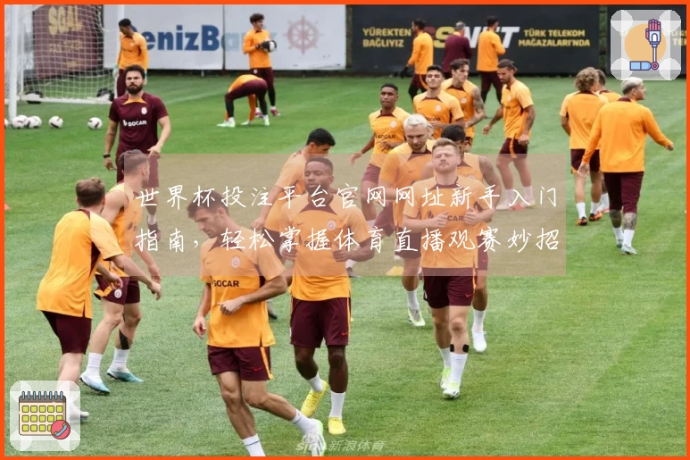 世界杯投注平台官网网址新手入门指南，轻松掌握体育直播观赛妙招