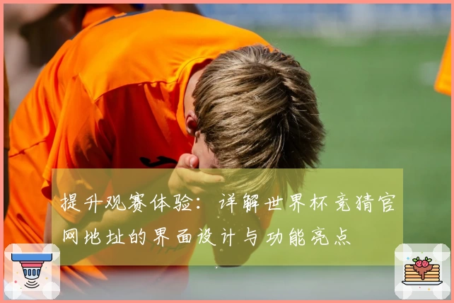 提升观赛体验：详解世界杯竞猜官网地址的界面设计与功能亮点