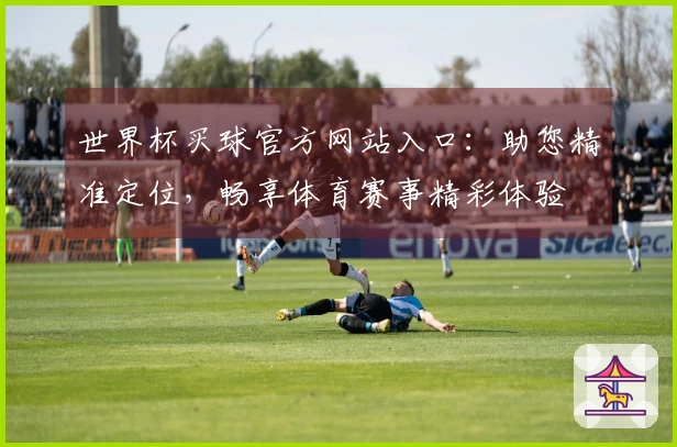 世界杯买球官方网站入口：助您精准定位，畅享体育赛事精彩体验
