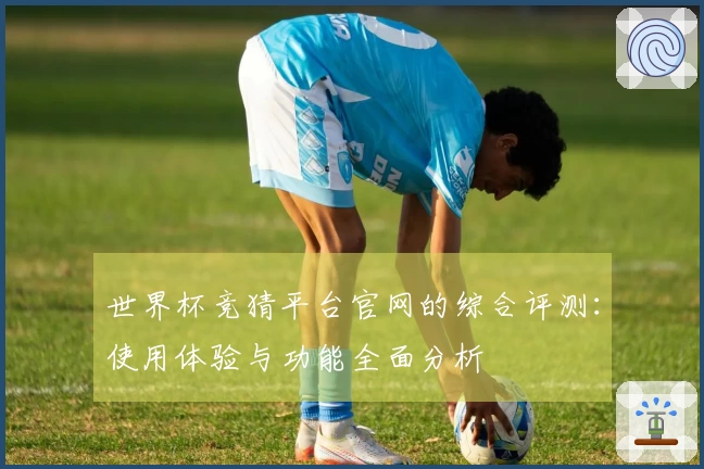 世界杯竞猜平台官网的综合评测：使用体验与功能全面分析
